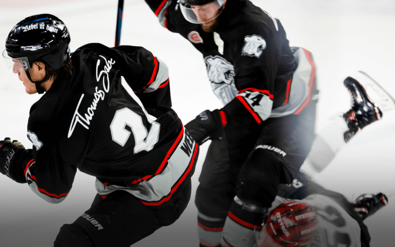 Contracts & Procurement