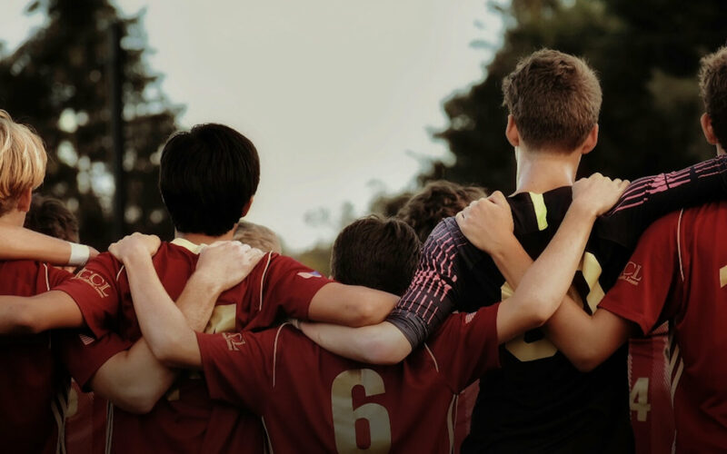 Automation & Optimisation